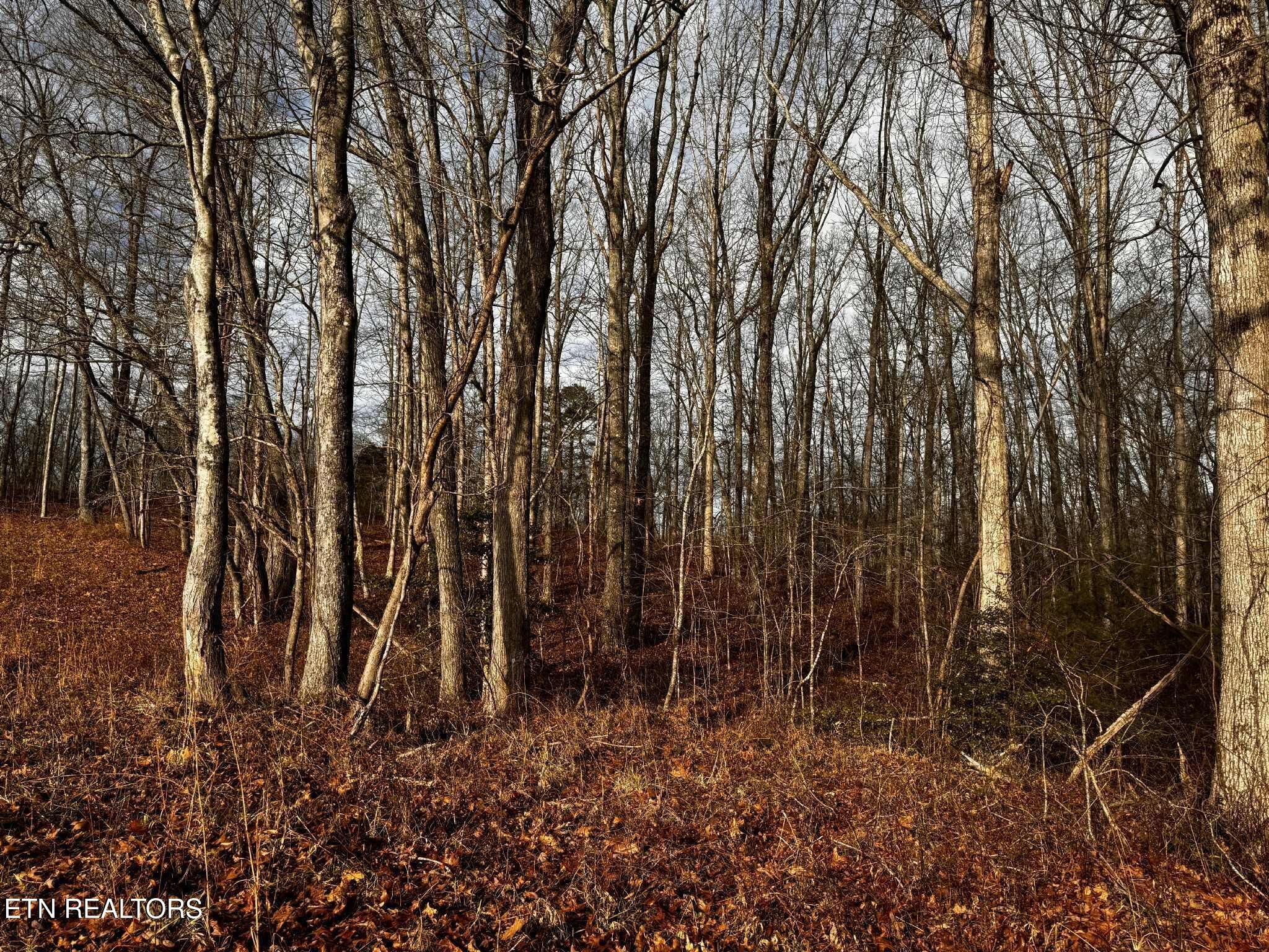 0 Smith Mountain Road Rockwood TN 37854