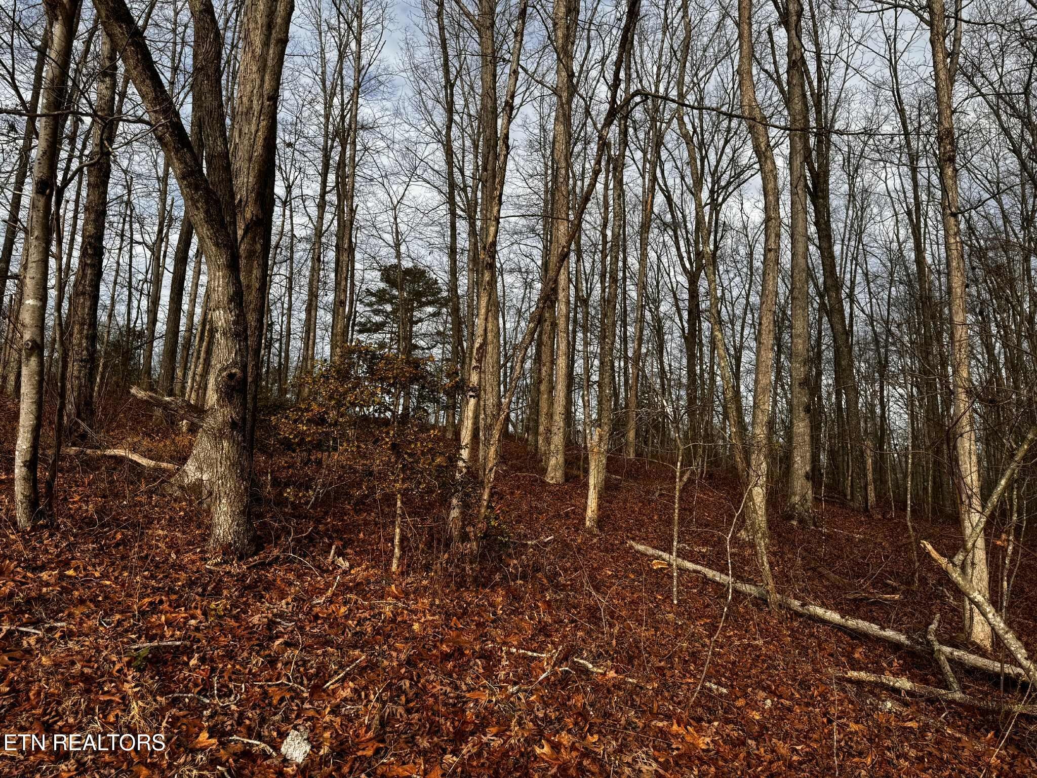 0 Smith Mountain Road Rockwood TN 37854