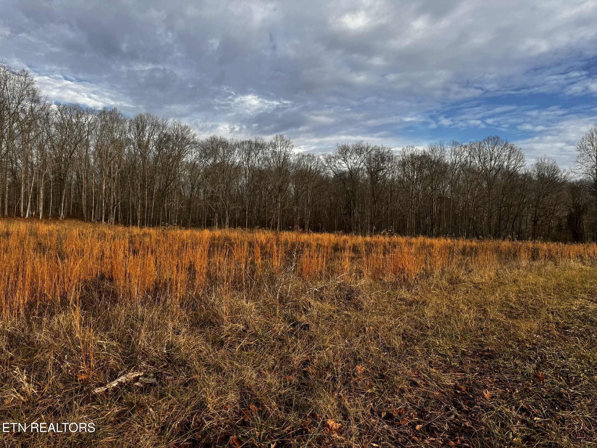 0 Smith Mountain Road Rockwood TN 37854