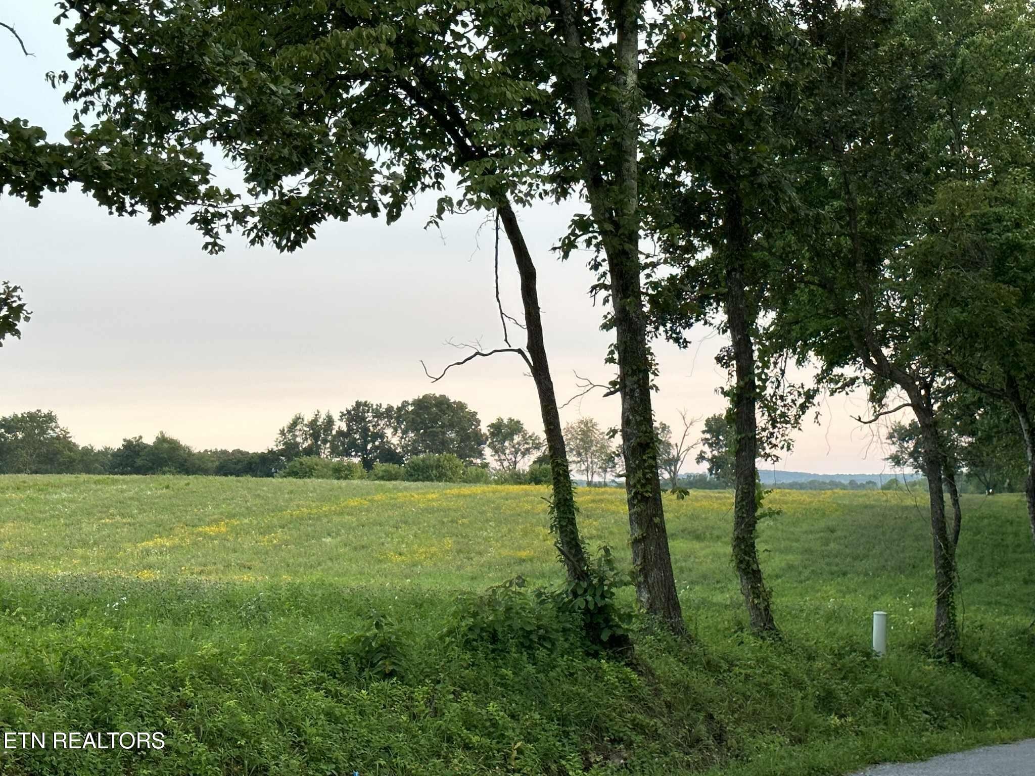 0 Smith Mountain Road Rockwood TN 37854