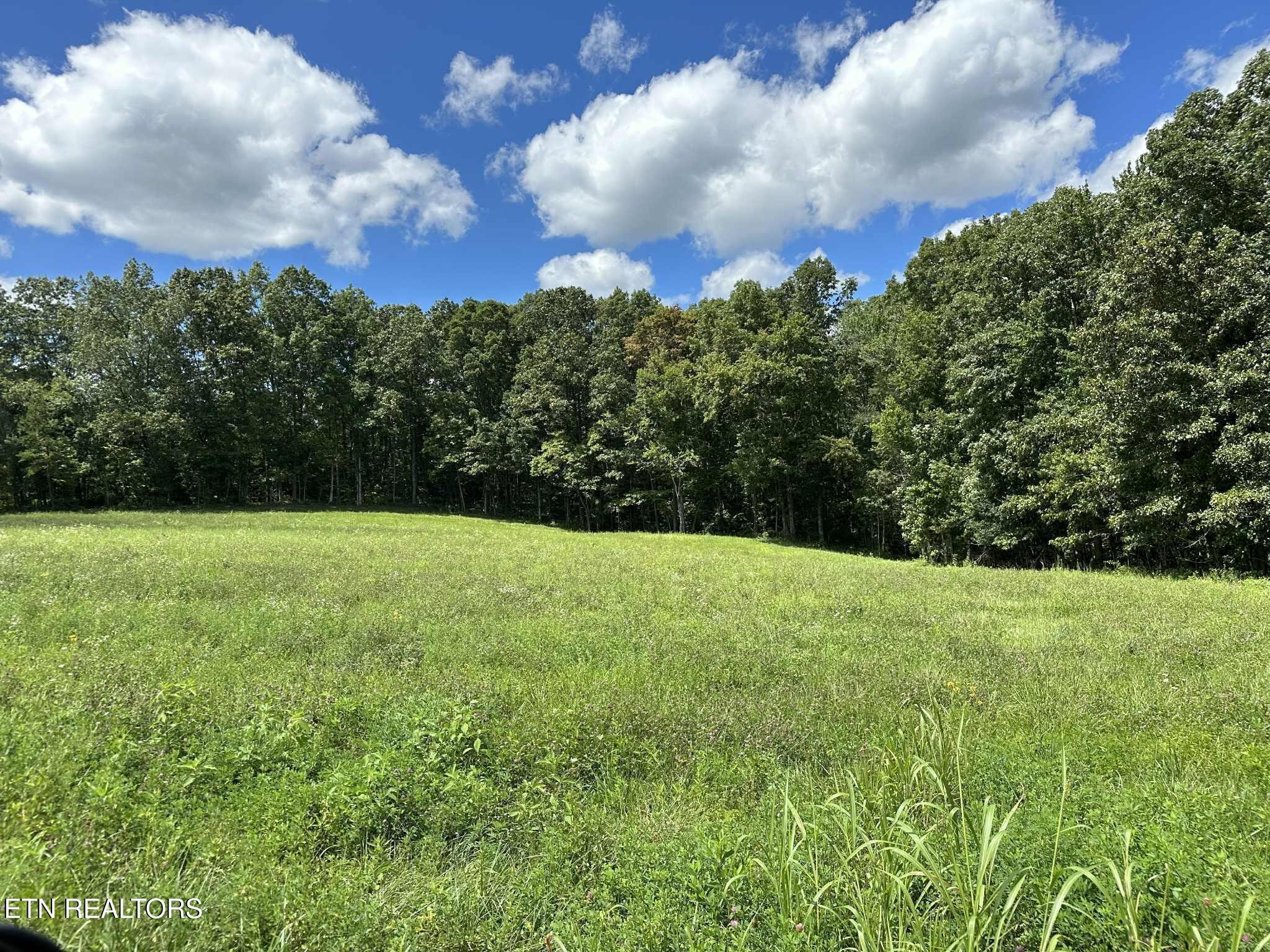 0 Smith Mountain Road Rockwood TN 37854