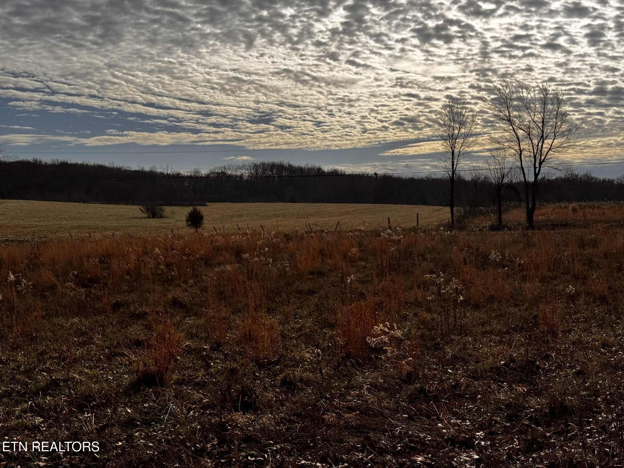 0 Smith Mountain Road Rockwood TN 37854