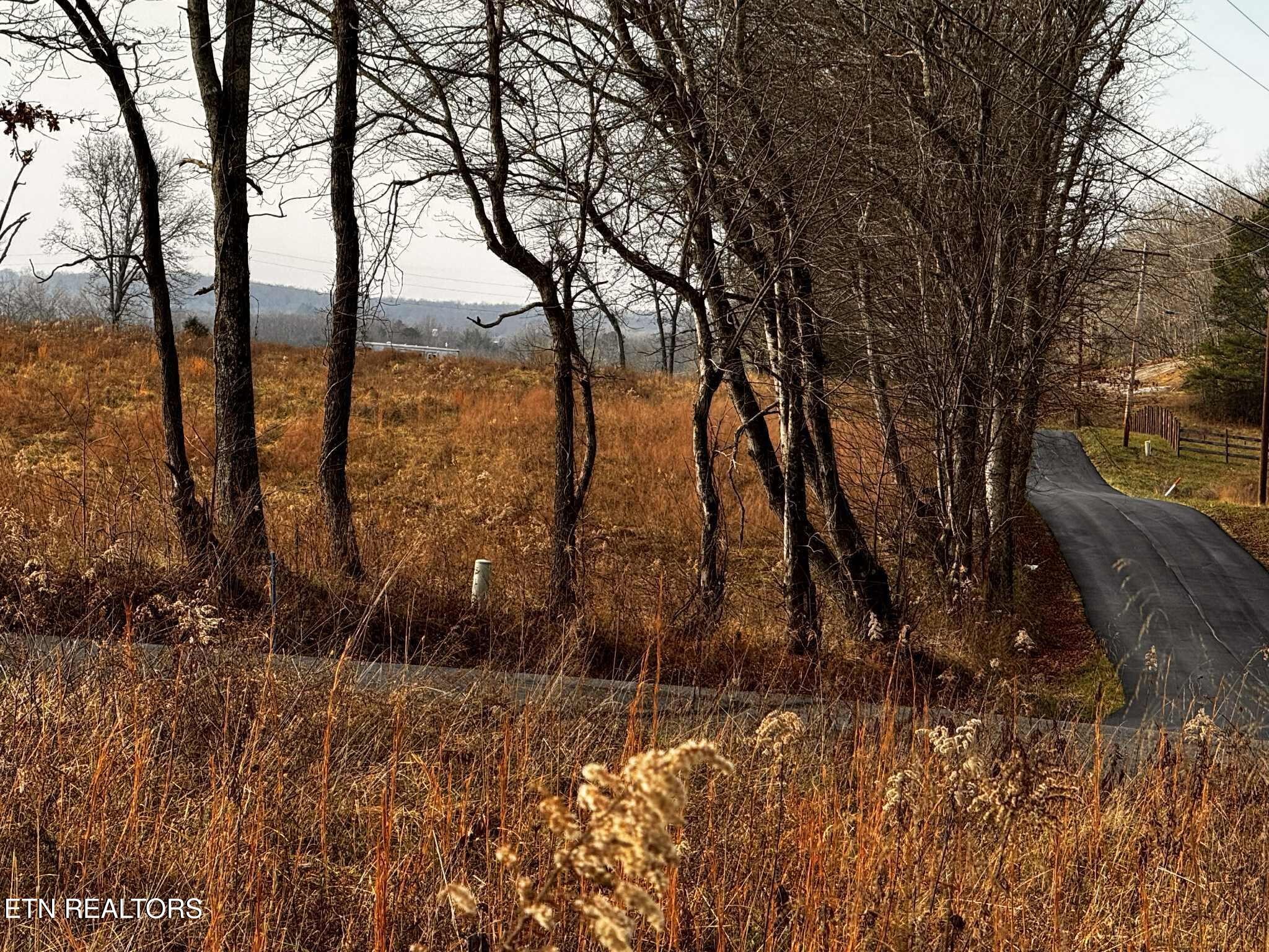 0 Smith Mountain Road Rockwood TN 37854