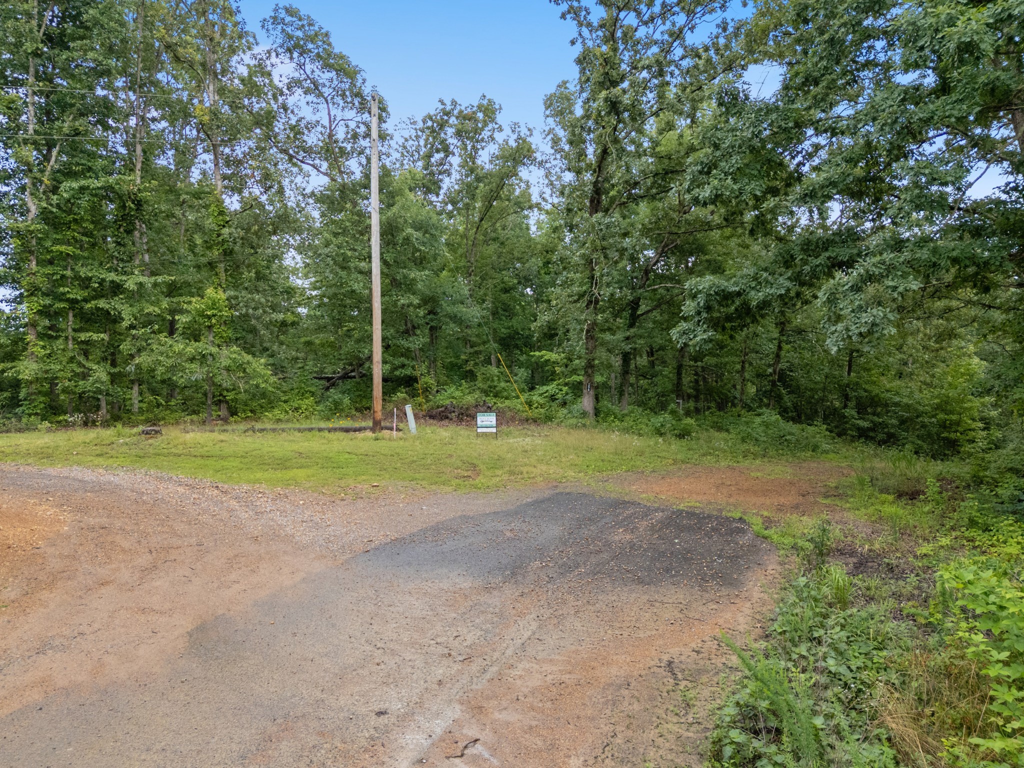 1270 N Buchanan Road Waverly TN 37185