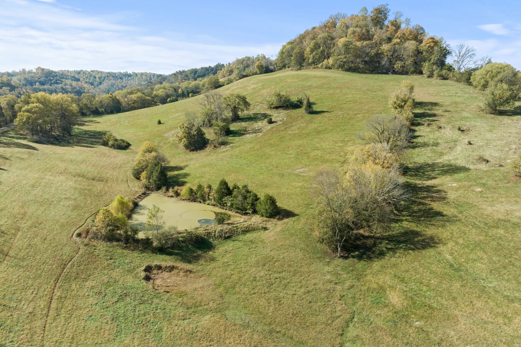 11528 Dodson Branch Highway Gainesboro TN 38562