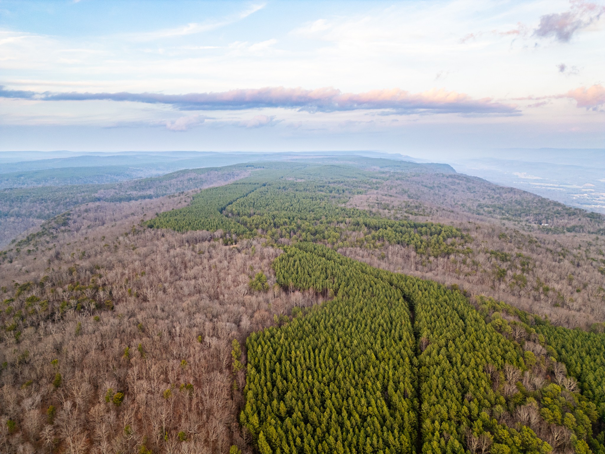 2900300 Smith Mountain Dunlap TN 37327