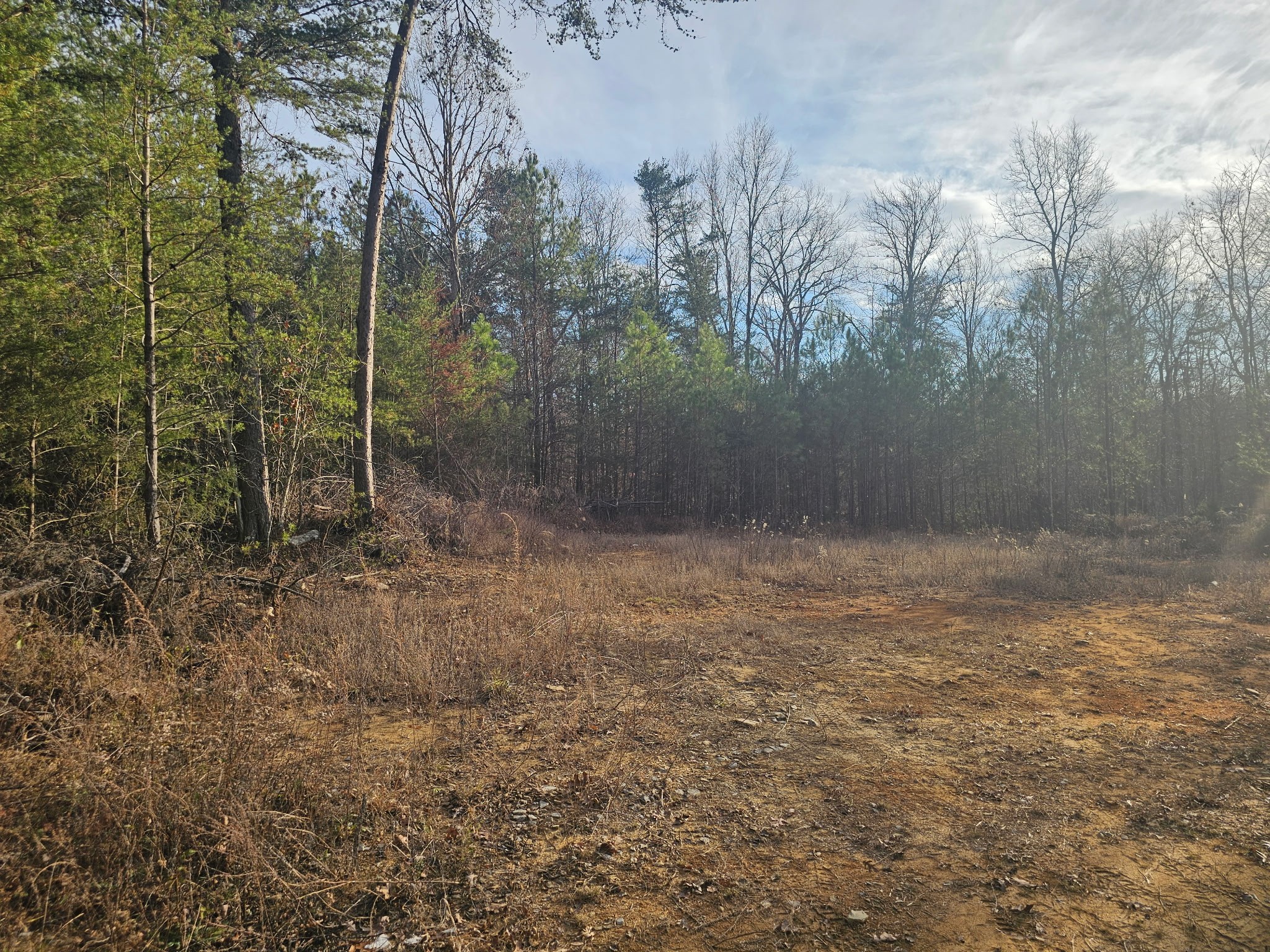 2900300 Smith Mountain Dunlap TN 37327