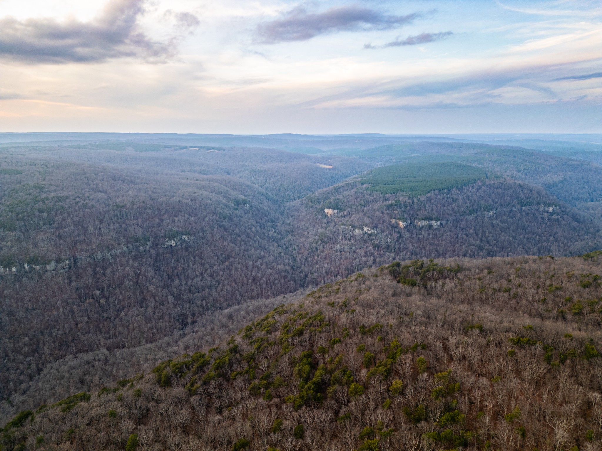 2900300 Smith Mountain Dunlap TN 37327