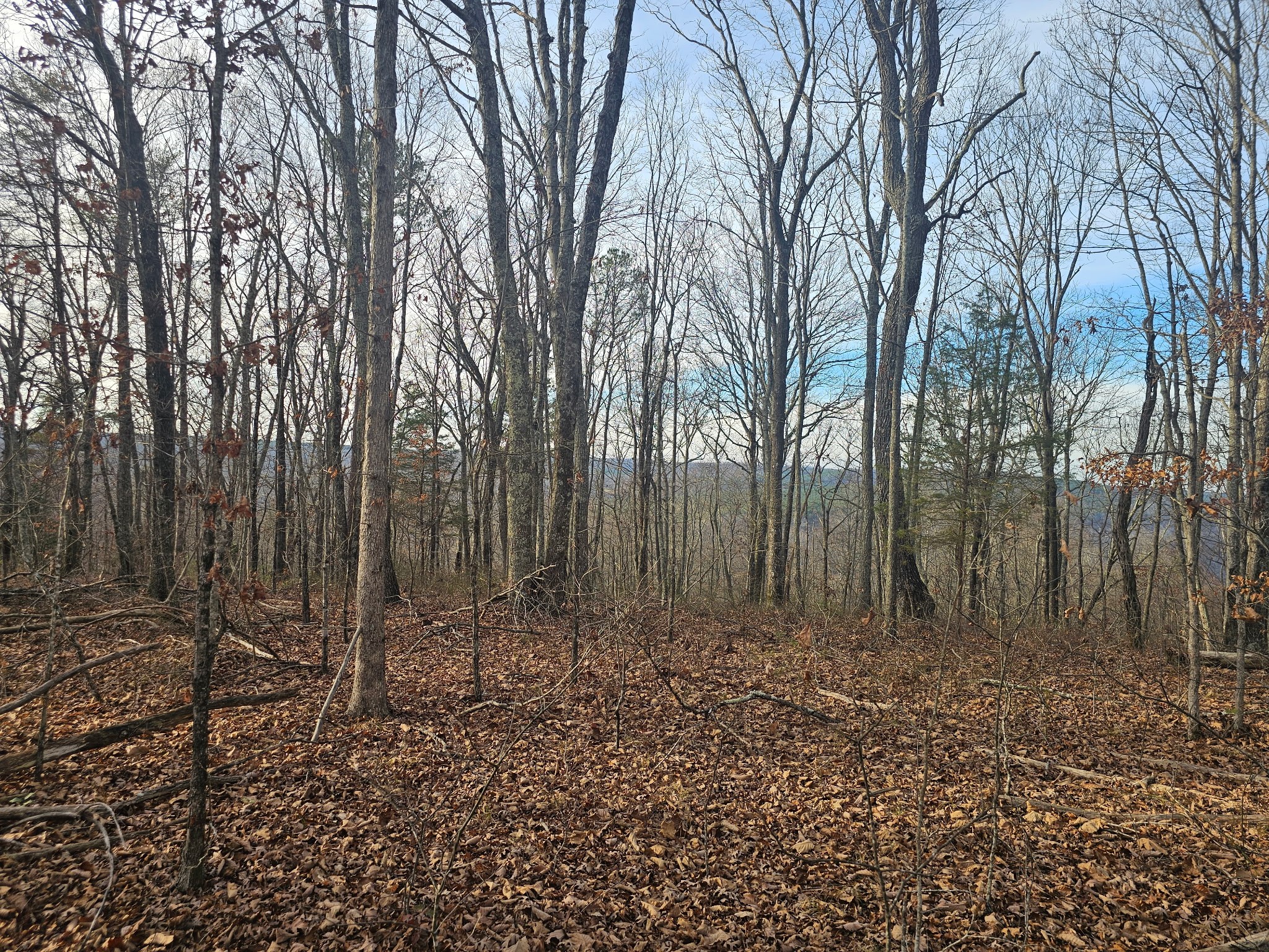 2900300 Smith Mountain Dunlap TN 37327