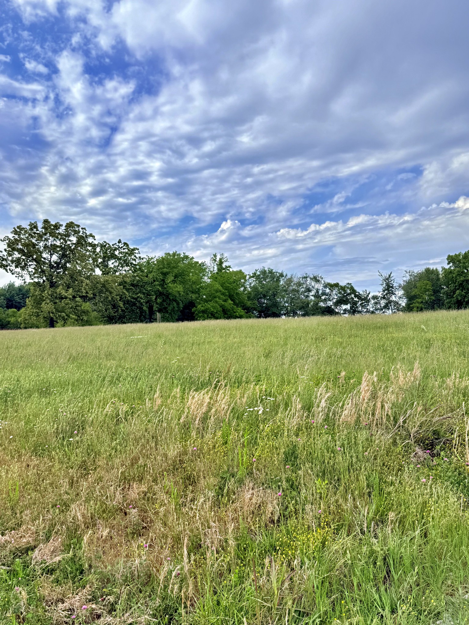 5165 Highway 41, N Springfield TN 37172