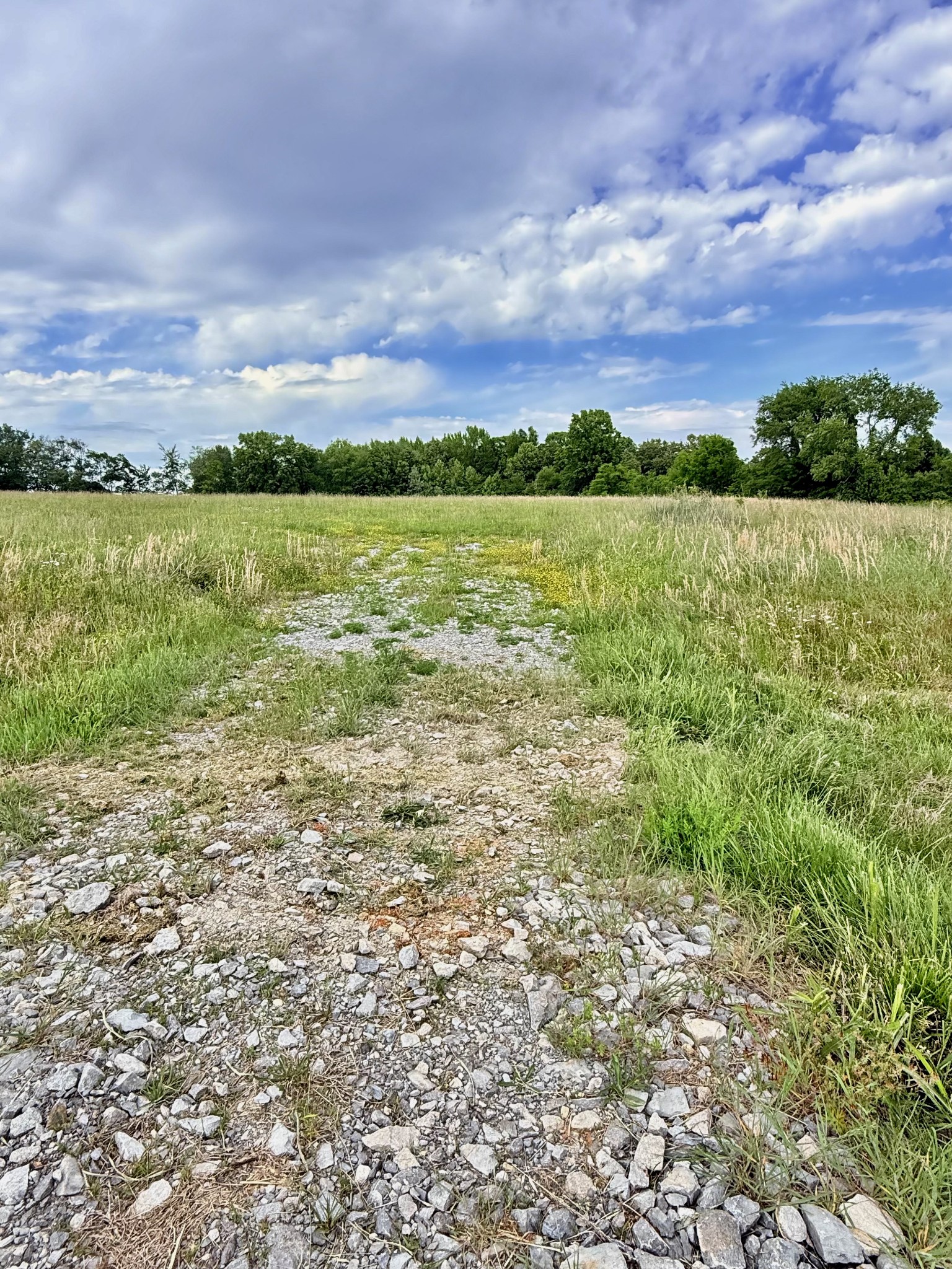 5165 Highway 41, N Springfield TN 37172