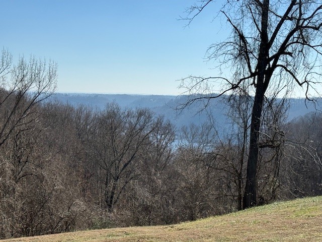 0 Smithville Highway Baxter TN 38544