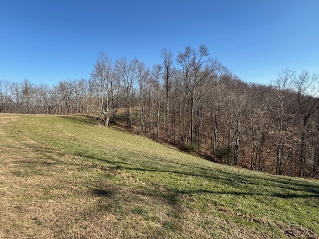 0 Smithville Highway Baxter TN 38544