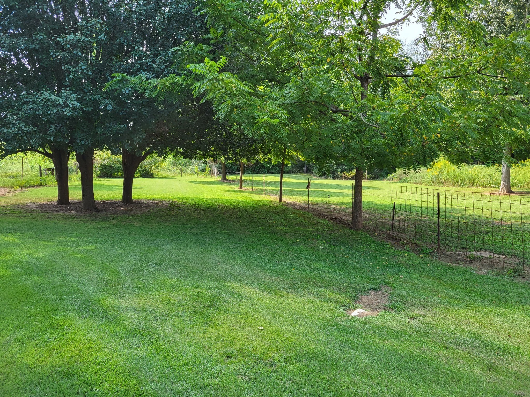 967 Mud Creek Road Morrison TN 37357