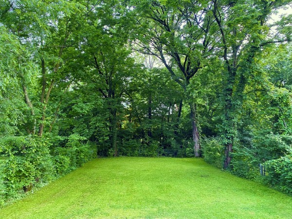 244 Emmitt Avenue Madison TN 37115
