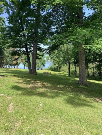 156 Lakeshore Circle Bumpus Mills TN 37028