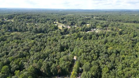 0 Caldwell Road Gruetli Laager TN 37339