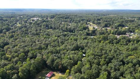 0 Caldwell Road Gruetli Laager TN 37339