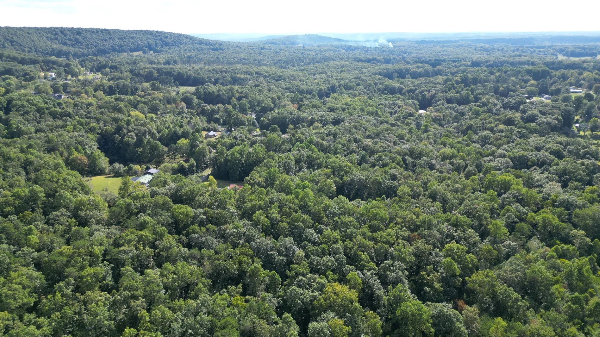 0 Caldwell Road Gruetli Laager TN 37339