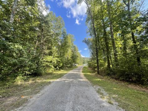 0 Caldwell Road Gruetli Laager TN 37339