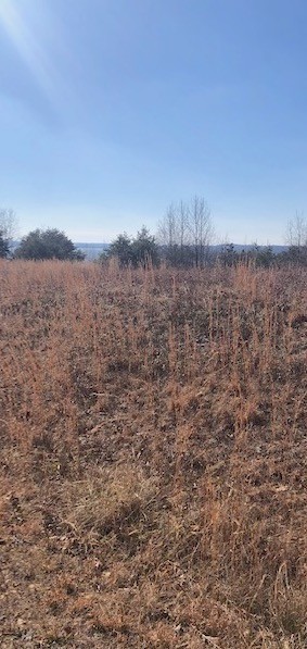 0 Turtle Point Lane Waverly TN 37185