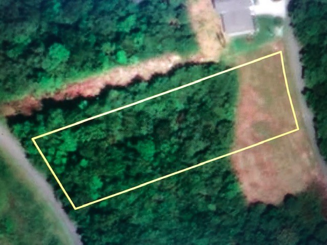0 Turtle Point Lane Waverly TN 37185
