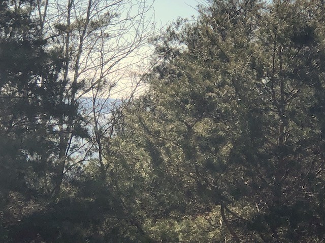 0 Turtle Point Lane Waverly TN 37185