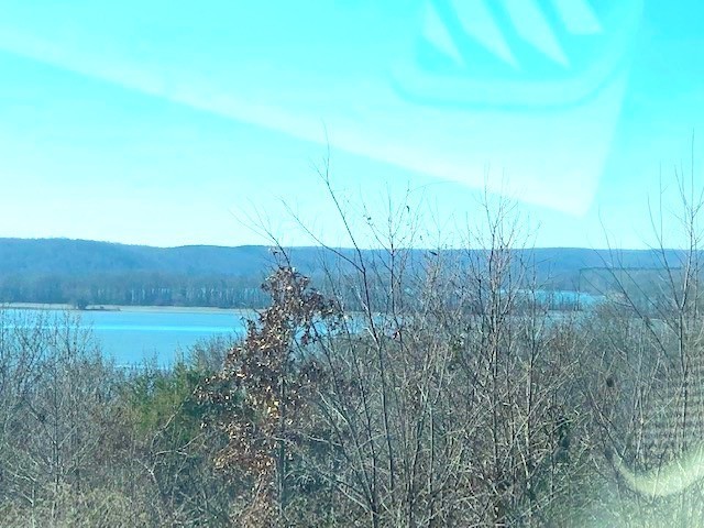 0 Turtle Point Lane Waverly TN 37185