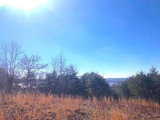 0 Turtle Point Lane Waverly TN 37185