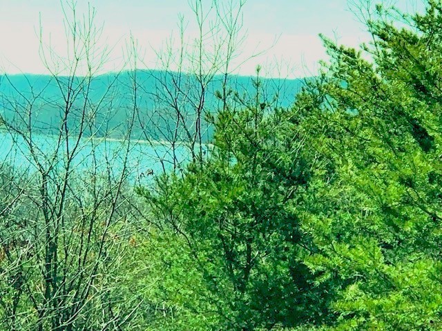 0 Turtle Point Lane Waverly TN 37185