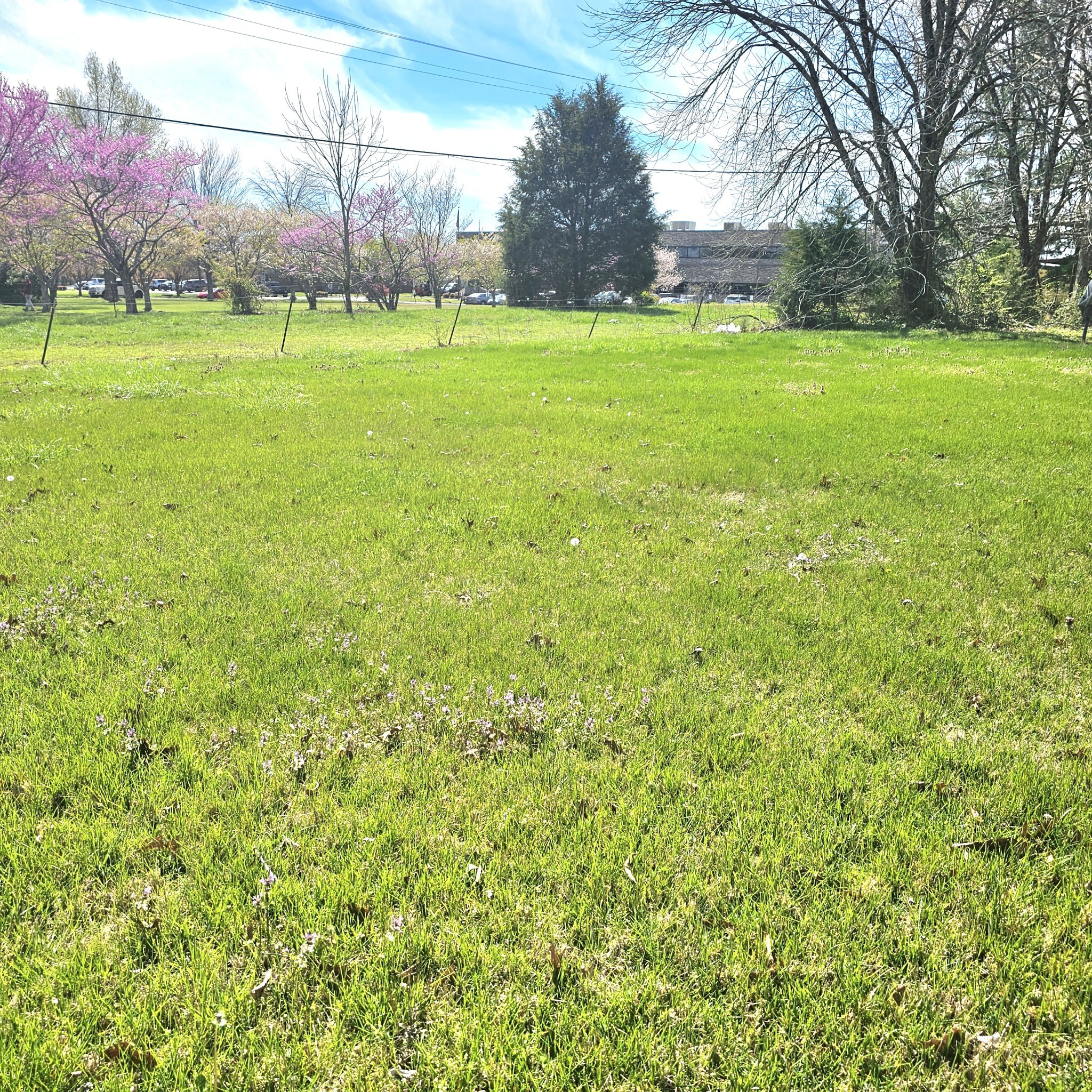 1131 W Broad Street Smithville TN 37166