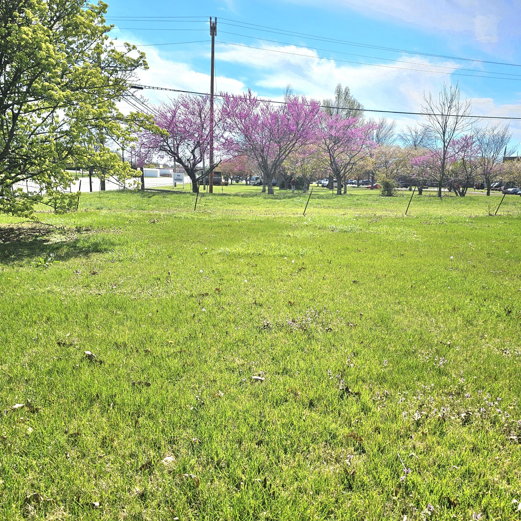 1131 W Broad Street Smithville TN 37166