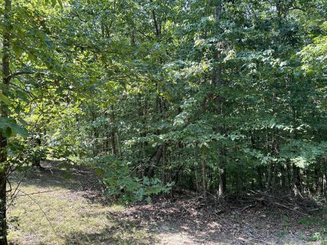 245 Lookout View Drive Jasper TN 37347