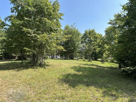 245 Lookout View Drive Jasper TN 37347