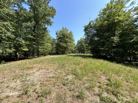 245 Lookout View Drive Jasper TN 37347