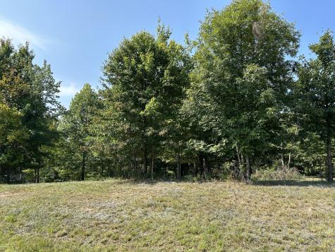 245 Lookout View Drive Jasper TN 37347