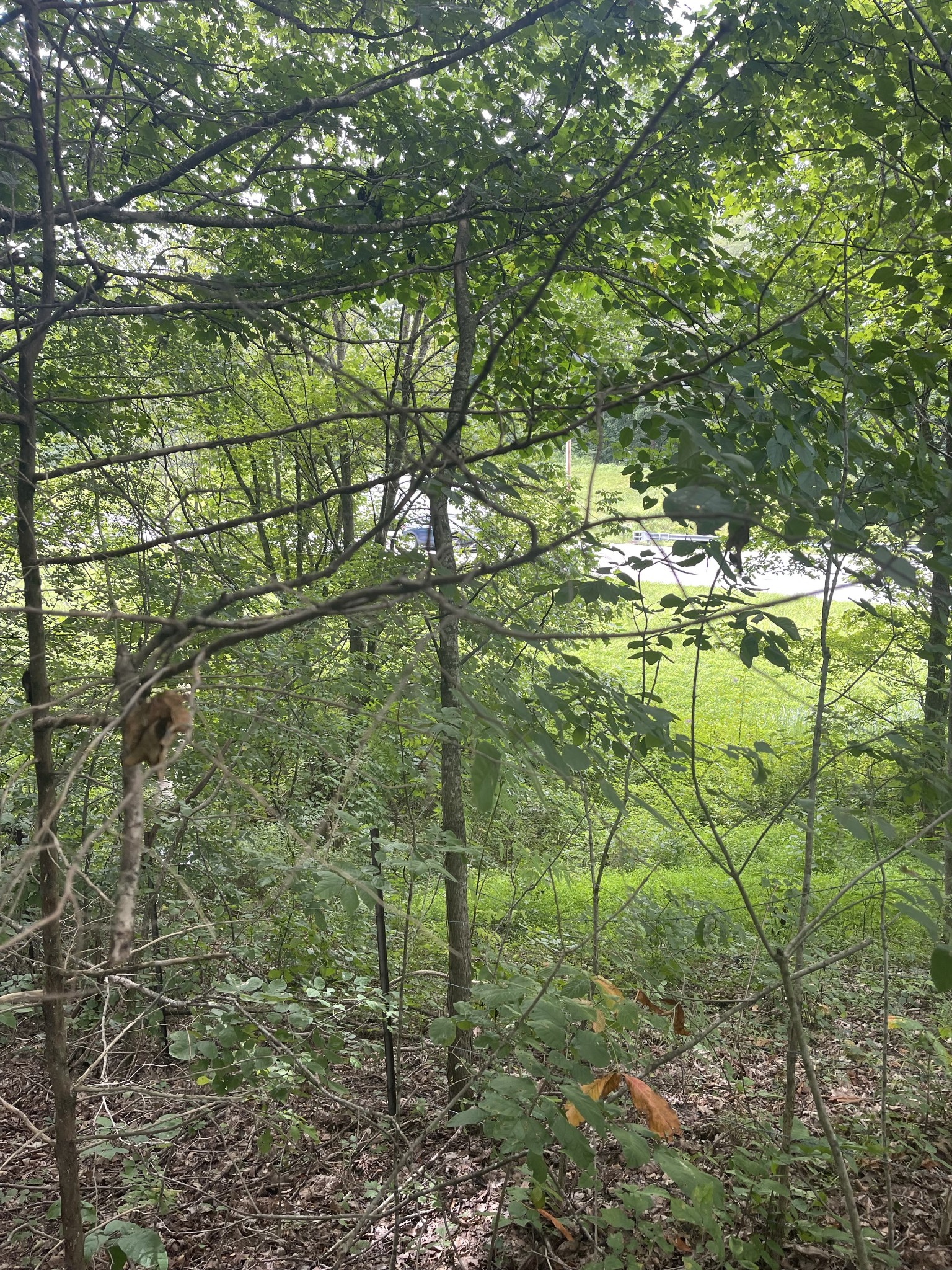 0 Hwy 52 Bypass West, W Lafayette TN 37083