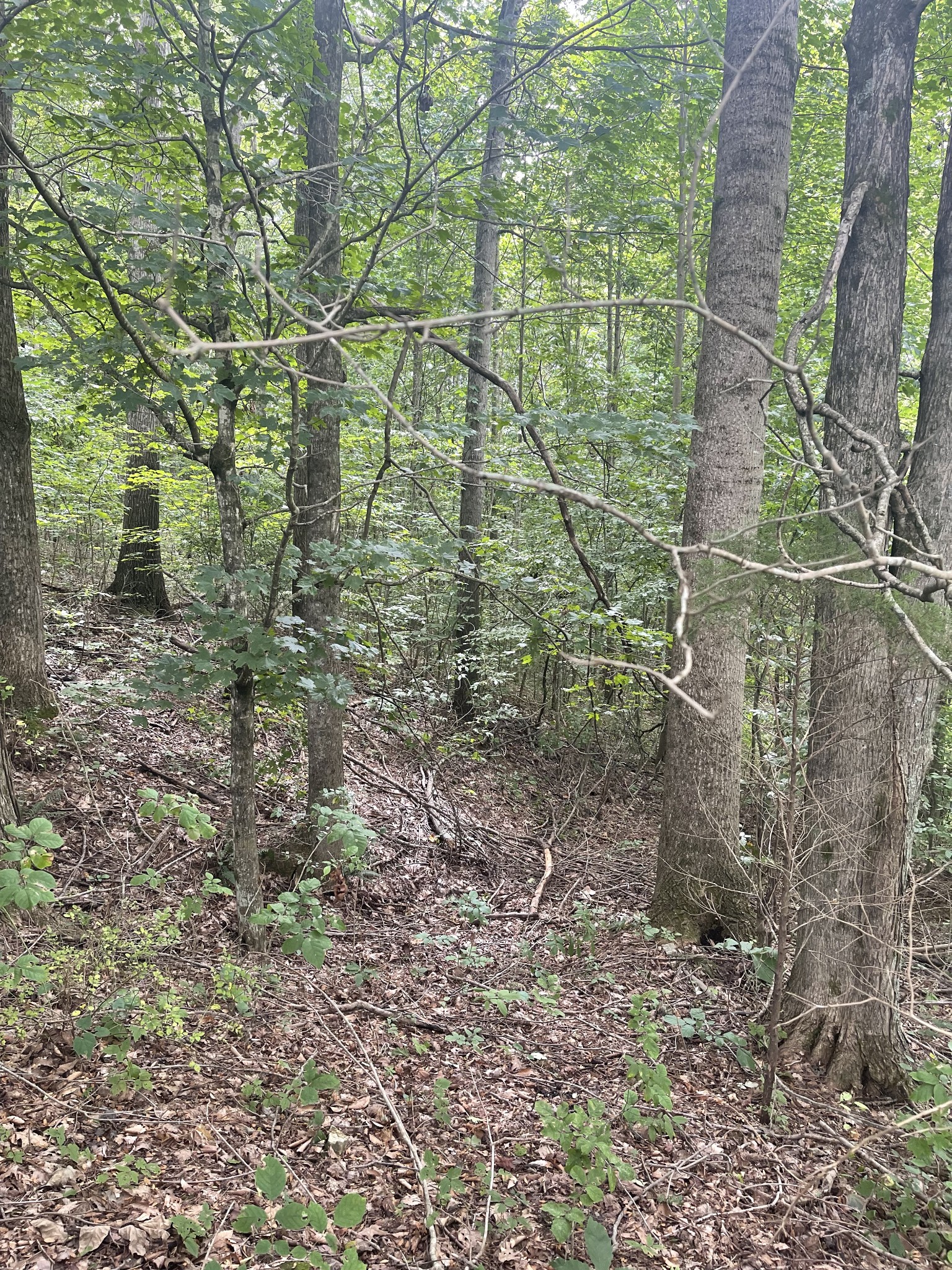 0 Hwy 52 Bypass West, W Lafayette TN 37083