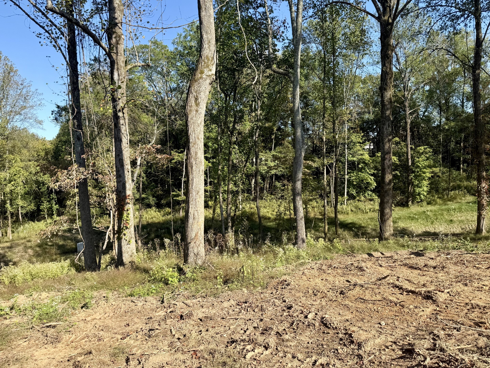 5500 Jenbreck Lane Arrington TN 37014