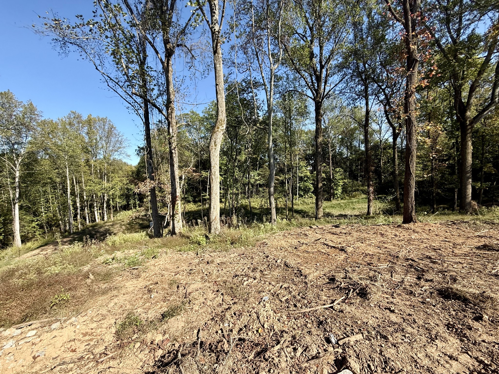 5500 Jenbreck Lane Arrington TN 37014