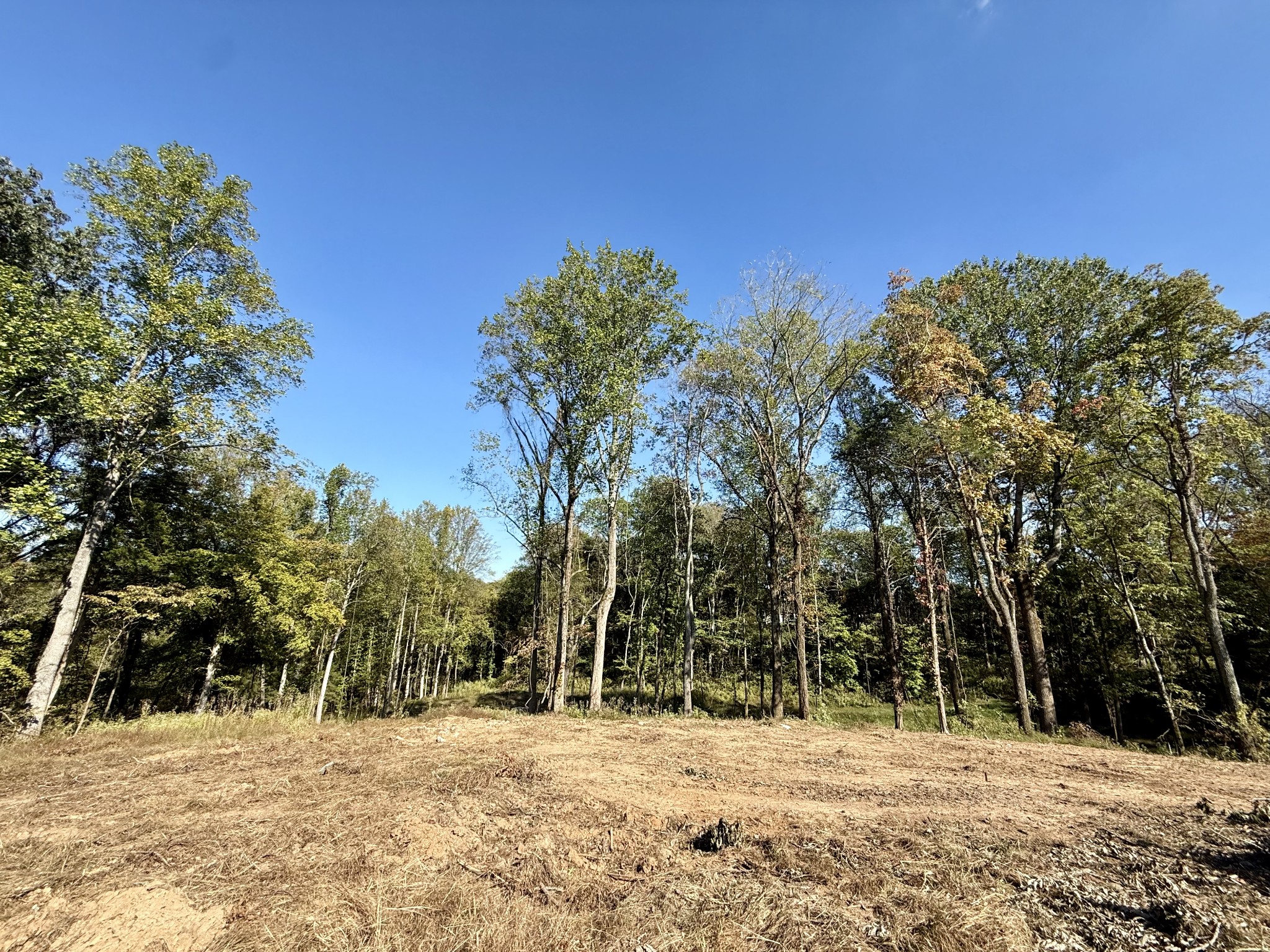 5500 Jenbreck Lane Arrington TN 37014