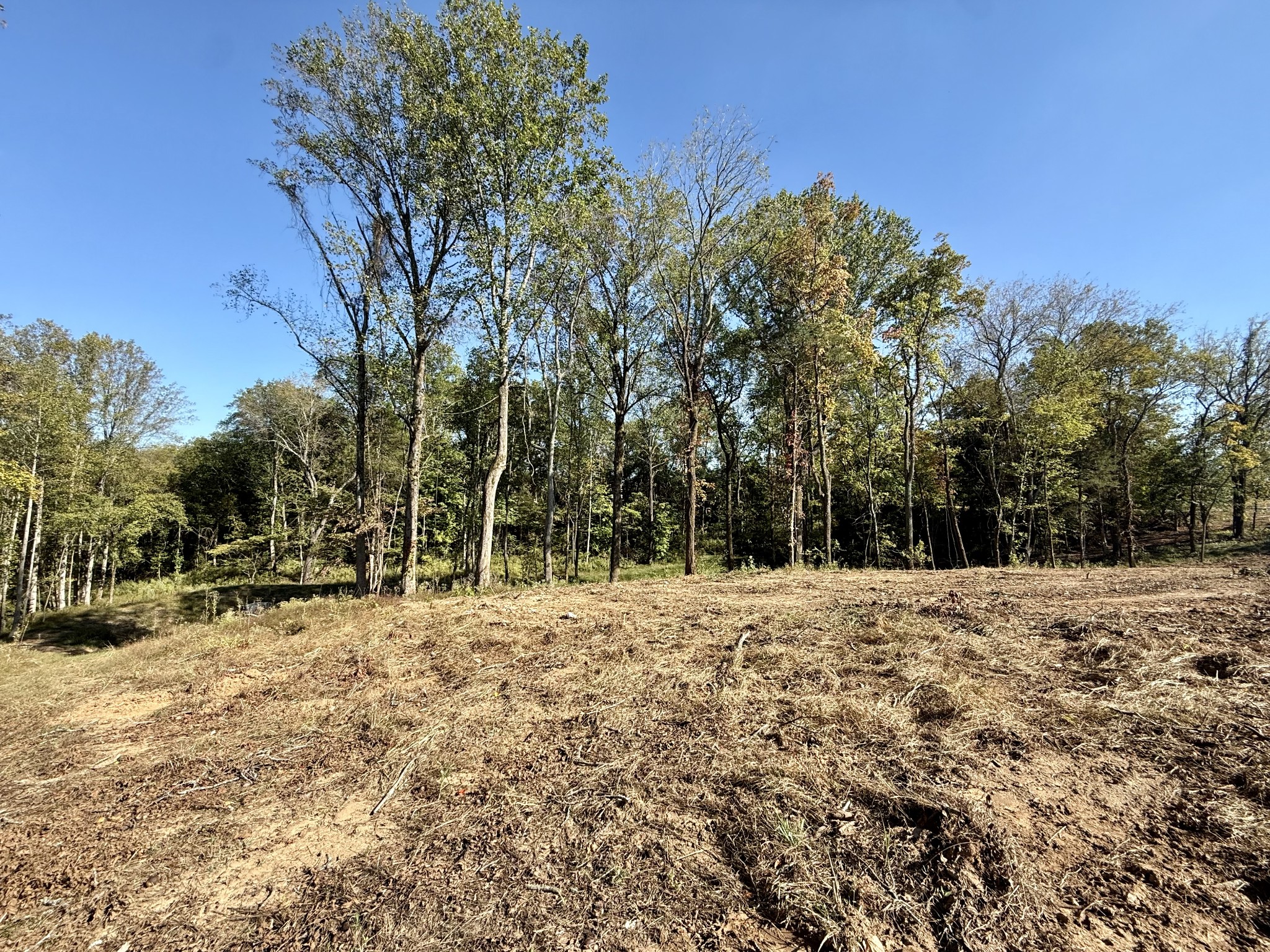 5500 Jenbreck Lane Arrington TN 37014