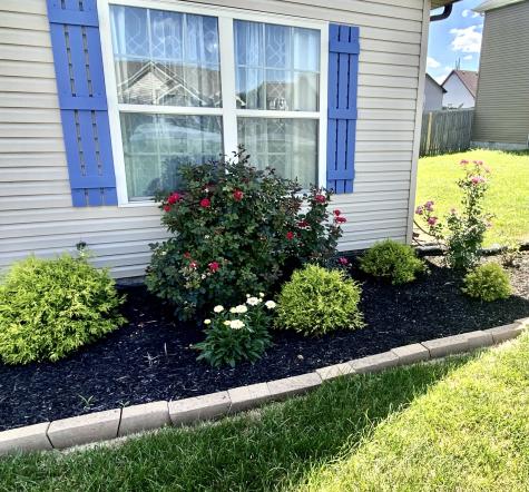 568 Tracy Lane Clarksville TN 37040
