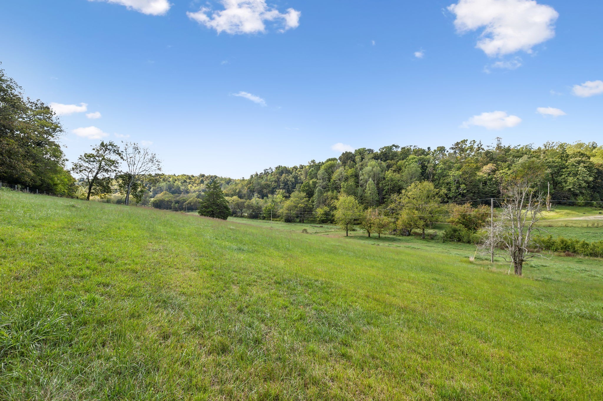 5A Young Road Pulaski TN 38478