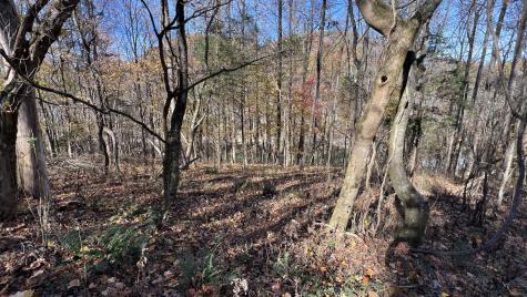 0 Cookeville Highway Elmwood TN 38560