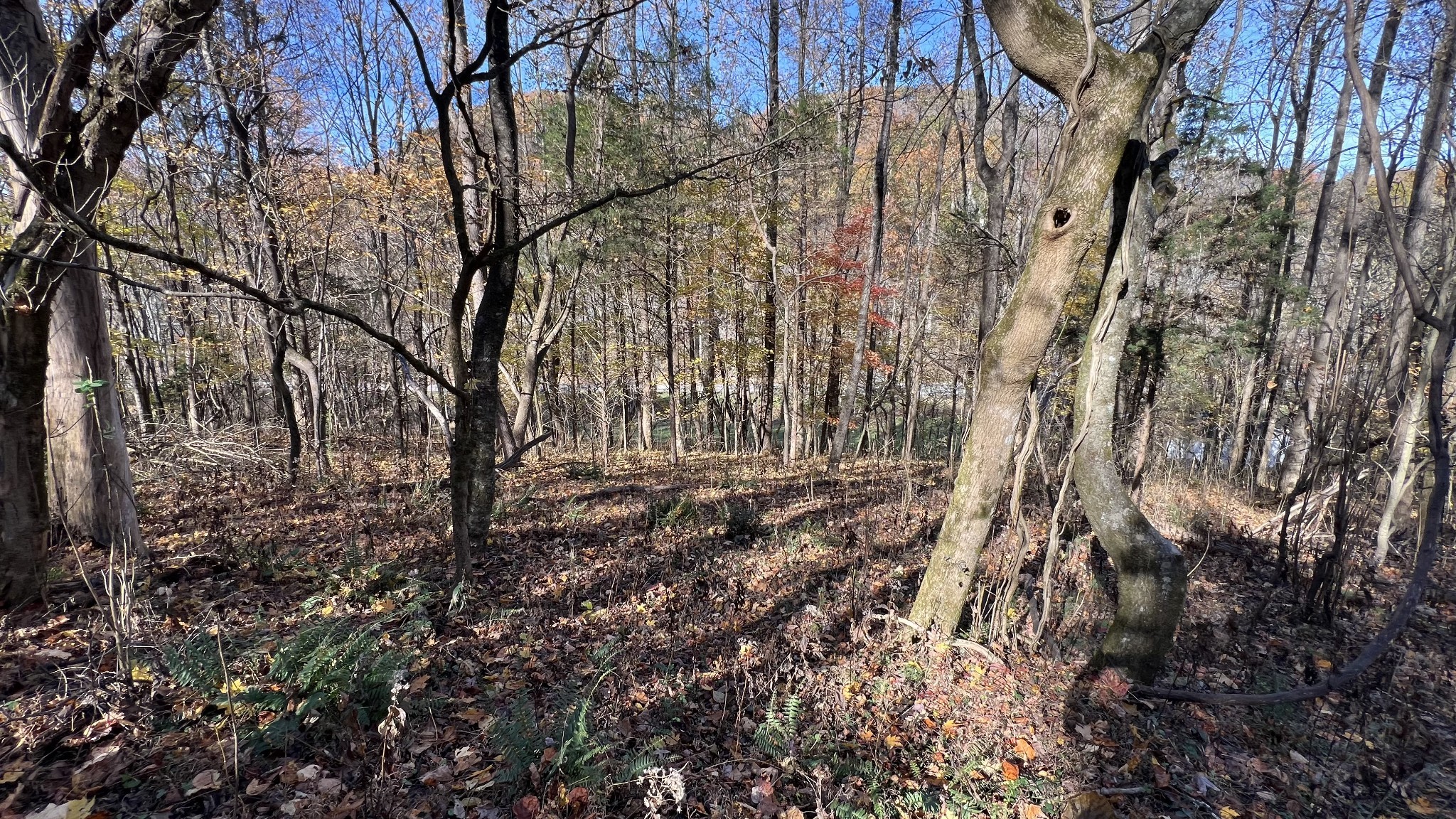 0 Cookeville Highway Elmwood TN 38560