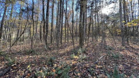 0 Cookeville Highway Elmwood TN 38560