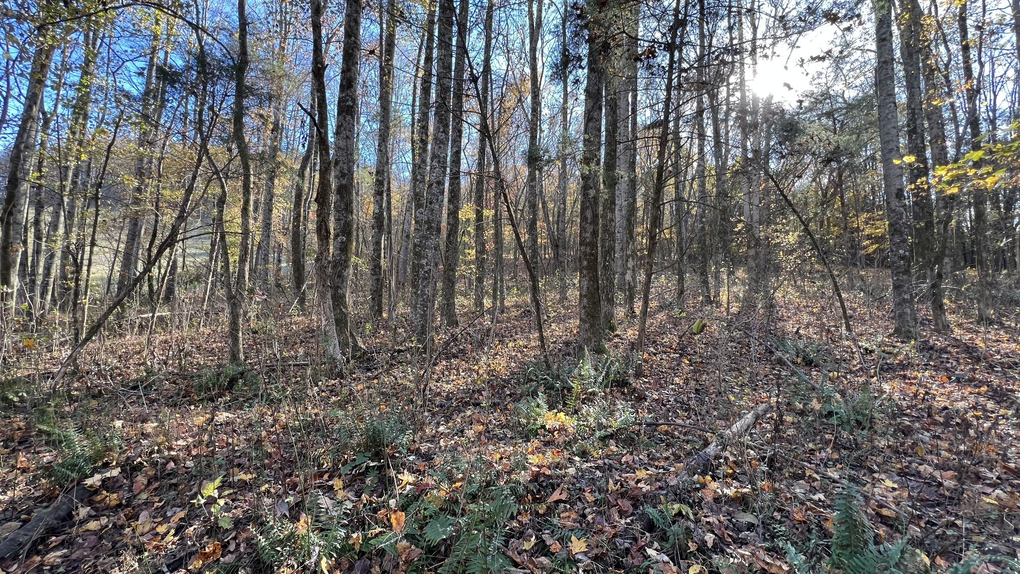 0 Cookeville Highway Elmwood TN 38560