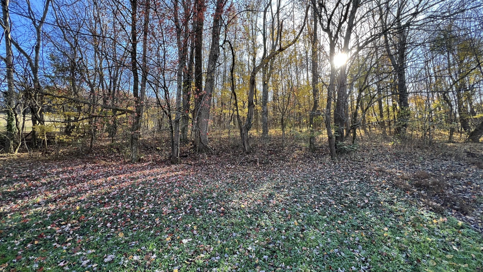 0 Cookeville Highway Elmwood TN 38560