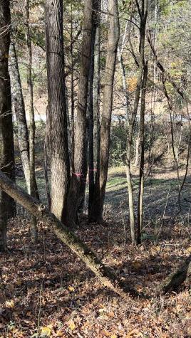0 Cookeville Highway Elmwood TN 38560